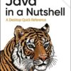 کتاب Java in a Nutshell ویرایش هشتم