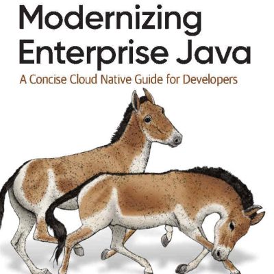 کتاب Modernizing Enterprise Java