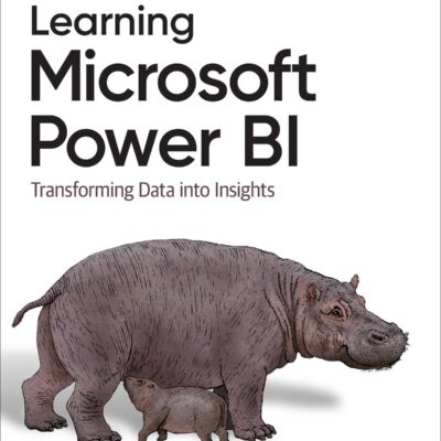 کتاب Learning Microsoft Power BI