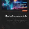 کتاب Effective Concurrency in Go