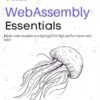 کتاب WebAssembly Essentials