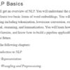قسمت 1 کتاب The Handbook of NLP with Gensim