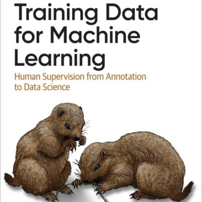 کتاب Training Data for Machine Learning