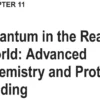 فصل 11 کتاب Quantum Computing by Practice ویرایش دوم