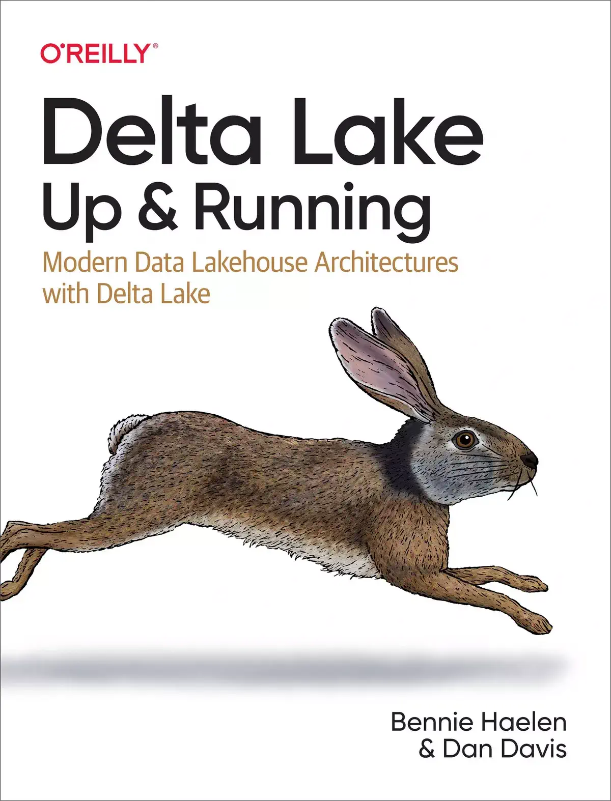 کتاب Delta Lake: Up and Running