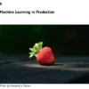 فصل 6 کتاب Machine Learning Theory and Applications