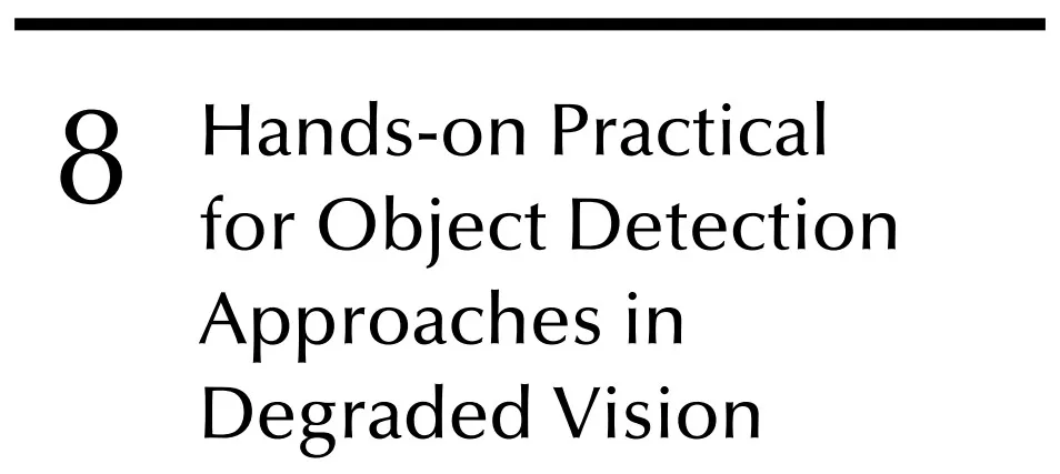 فصل 8 کتاب Computer Vision: Object Detection In Adversarial Vision