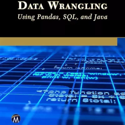 کتاب Data Wrangling Using Pandas, SQL, and Java