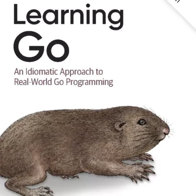 کتاب Learning Go ویرایش دوم