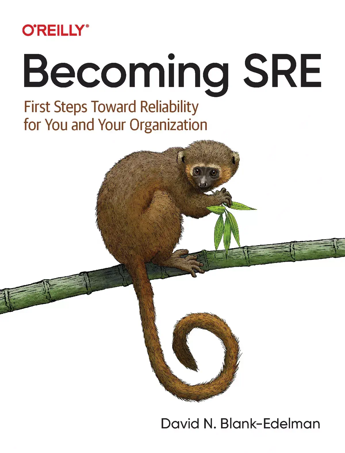 کتاب Becoming SRE