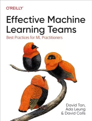 کتاب Effective Machine Learning Teams