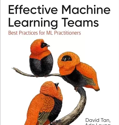 کتاب Effective Machine Learning Teams