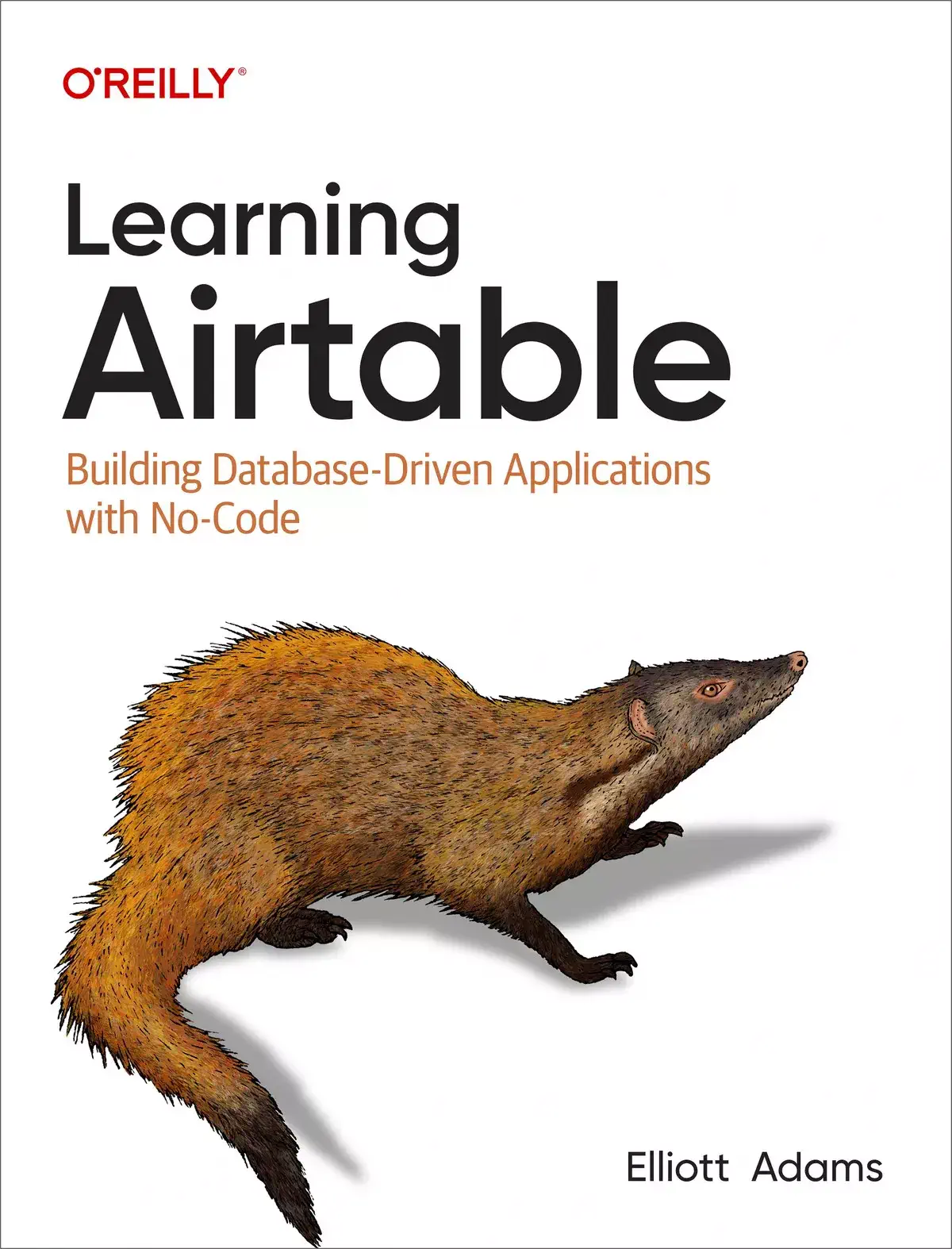 کتاب Learning Airtable