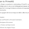 بخش 1 کتاب Next-Level UI Development with PrimeNG