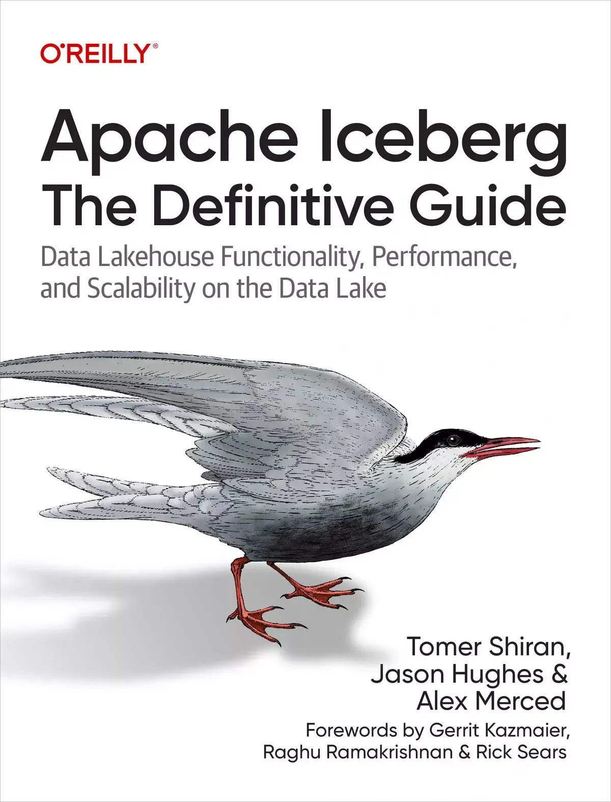 کتاب Apache Iceberg: The Definitive Guide