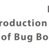 بخش 1 کتاب Bug Bounty from Scratch