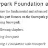 بخش 1 کتاب The Ultimate Guide to Snowpark