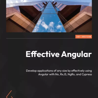 کتاب Effective Angular