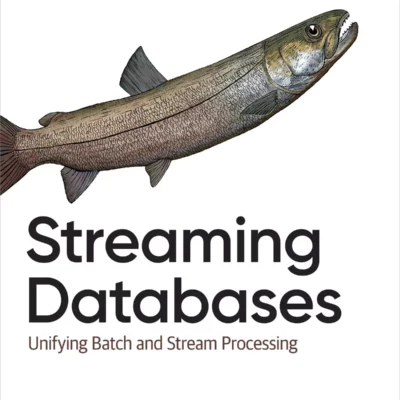 کتاب Streaming Databases