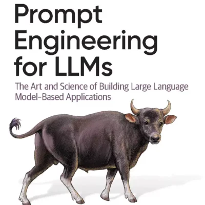 کتاب Prompt Engineering for LLMs