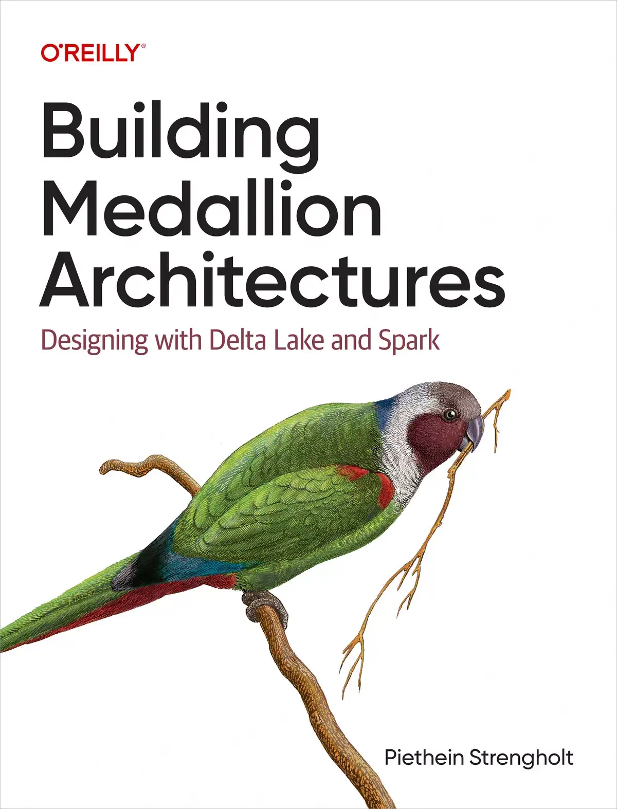 کتاب Building Medallion Architectures