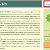 module 3 Enterprise MIS