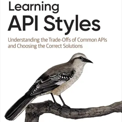 کتاب Learning API Styles