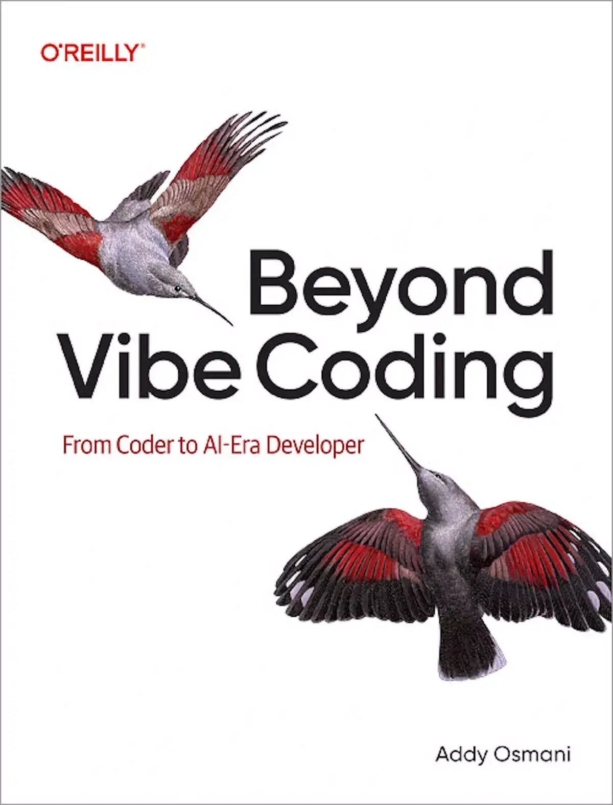 کتاب Beyond Vibe Coding