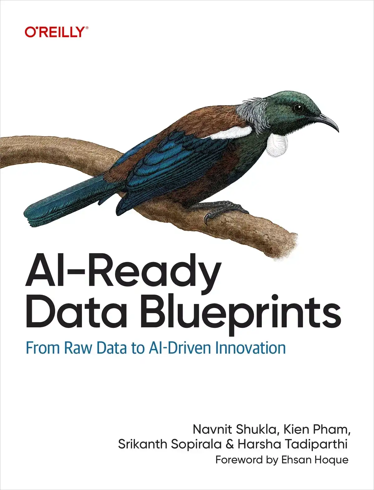 کتاب AI-Ready Data Blueprints