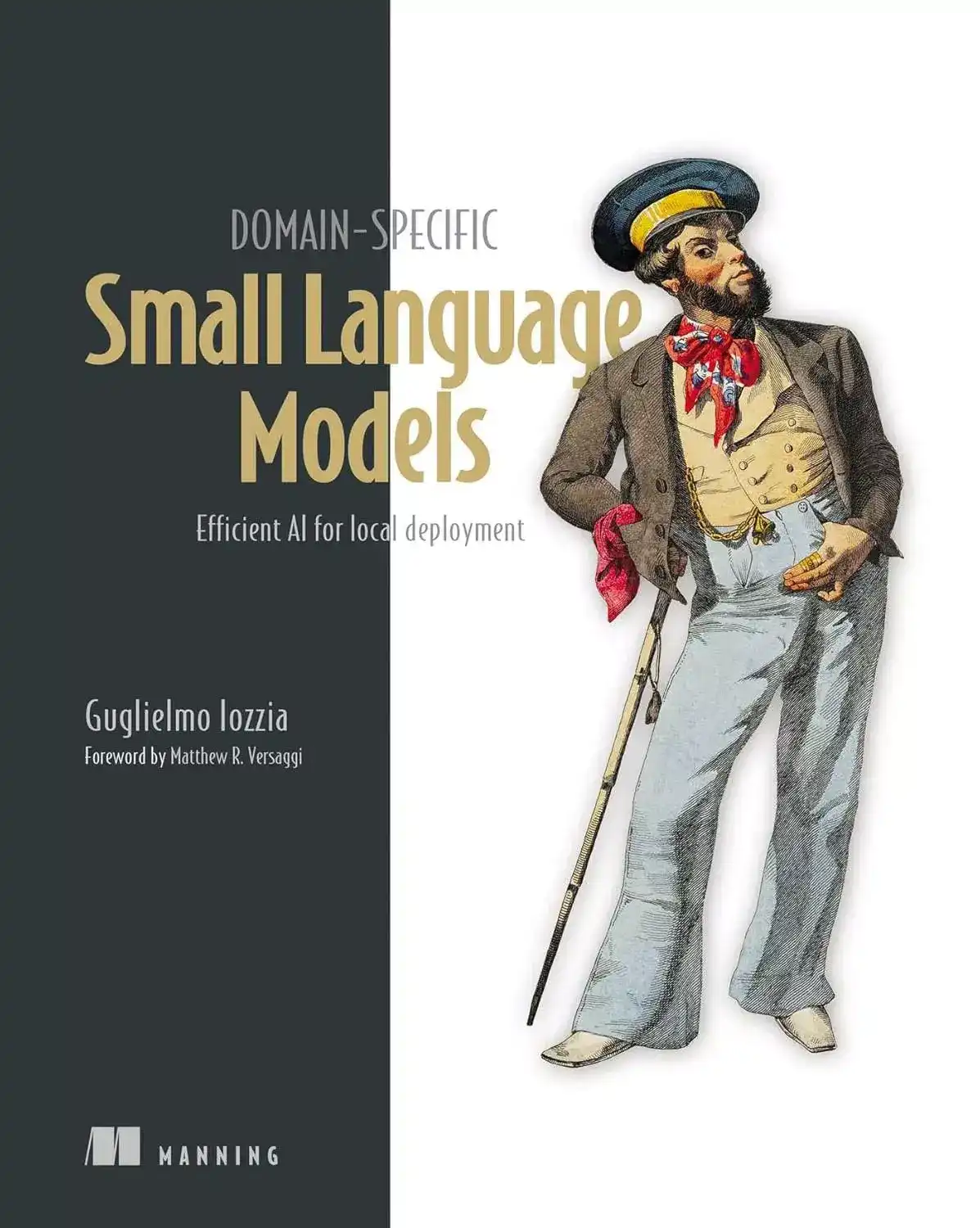 کتاب Domain-Specific Small Language Models