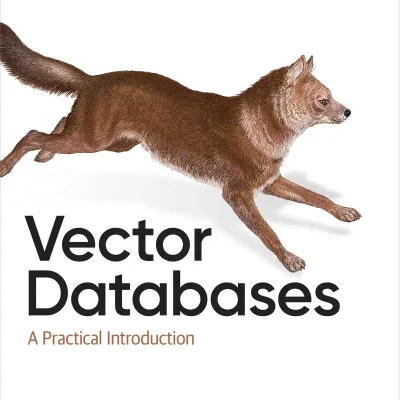 کتاب Vector Databases